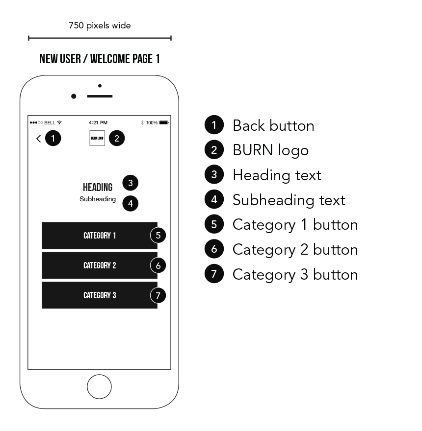 Burn App Welcome Page 1 Wireframe